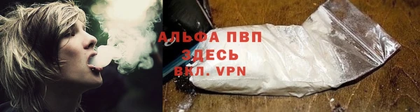 ПСИЛОЦИБИНОВЫЕ ГРИБЫ Абдулино