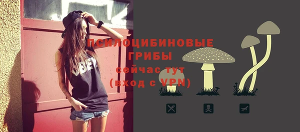 ПСИЛОЦИБИНОВЫЕ ГРИБЫ Абдулино