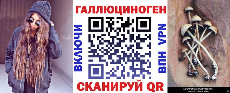 KRAKEN вход  Симферополь  Псилоцибиновые грибы Cubensis 