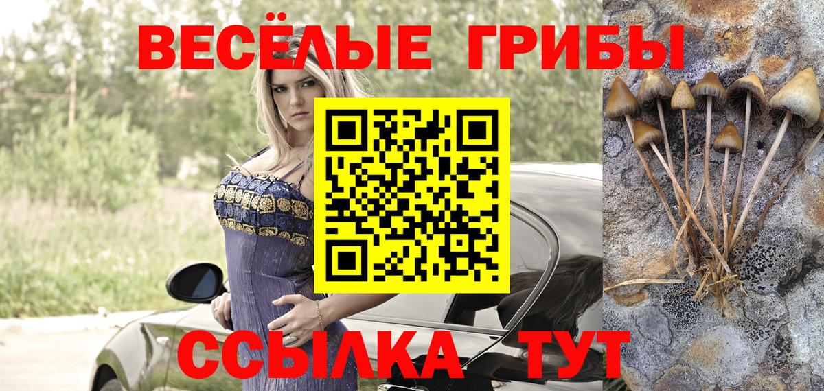 Псилоцибиновые грибы мухоморы  Псилоцибиновые грибы прущие грибы  Вход с VPN  Симферополь 